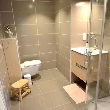 - Moderne Avec Confort Et Animaux Admis - Fr-1-623-98 Apartment Les Gets
