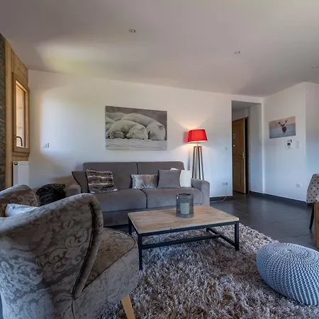 - Moderne Avec Confort Et Animaux Admis - Fr-1-623-98 Les Gets
