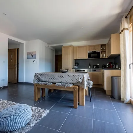 - Moderne Avec Confort Et Animaux Admis - Fr-1-623-98 Apartment Les Gets